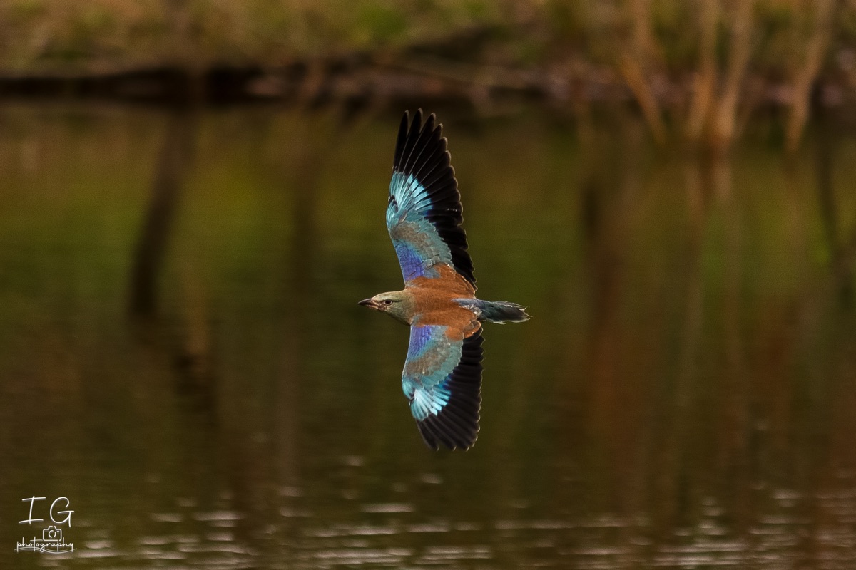 20211023 AK6I0113 insta